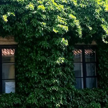 The Little Angel's Place Апартаменты