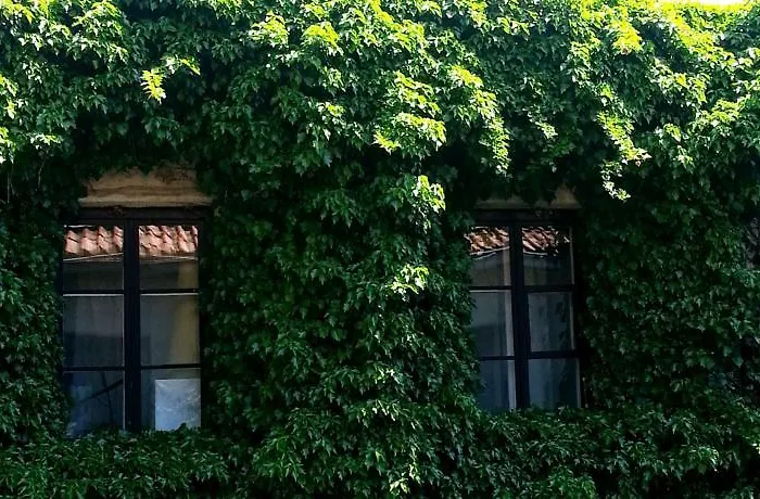 The Little Angel's Place Daire